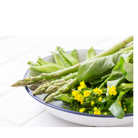 元氣をつなぐ畑と相談/旬の葉物まるごと野菜スープ/ファスティング回復期/重ね煮調理/有機JAS玄米使用/自社製造*冷凍クール便*