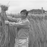 元気をつなぐカボチャと野菜のまるごとスープ/ファスティング回復期/重ね煮調理/冷凍クール便