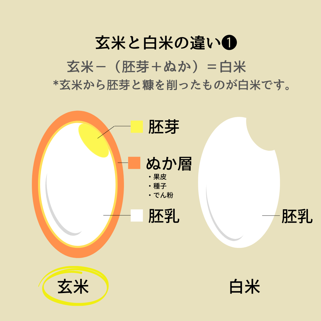 焙煎(炒り)玄米クリーム /急速冷凍/米・食味分析コンクール金賞米/有機JAS認定無農薬玄米/たまや/*冷凍クール便*